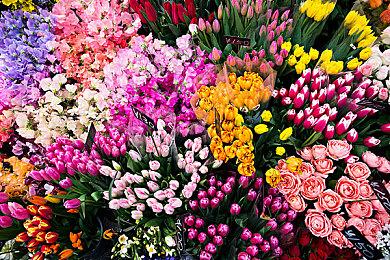 2024 TGA最佳无障碍创新：《波斯王子：失落的王冠》