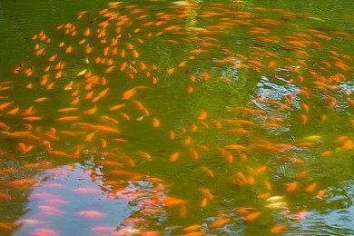 小岛确认正开发两个游戏：一个大作和一个挑战性游戏